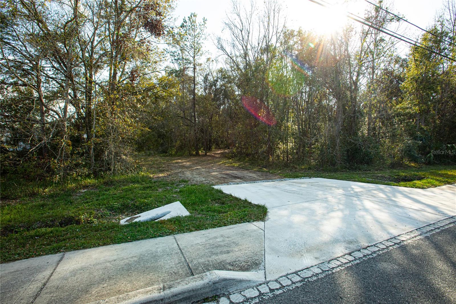 Dr M L King Jr Boulevard, FL