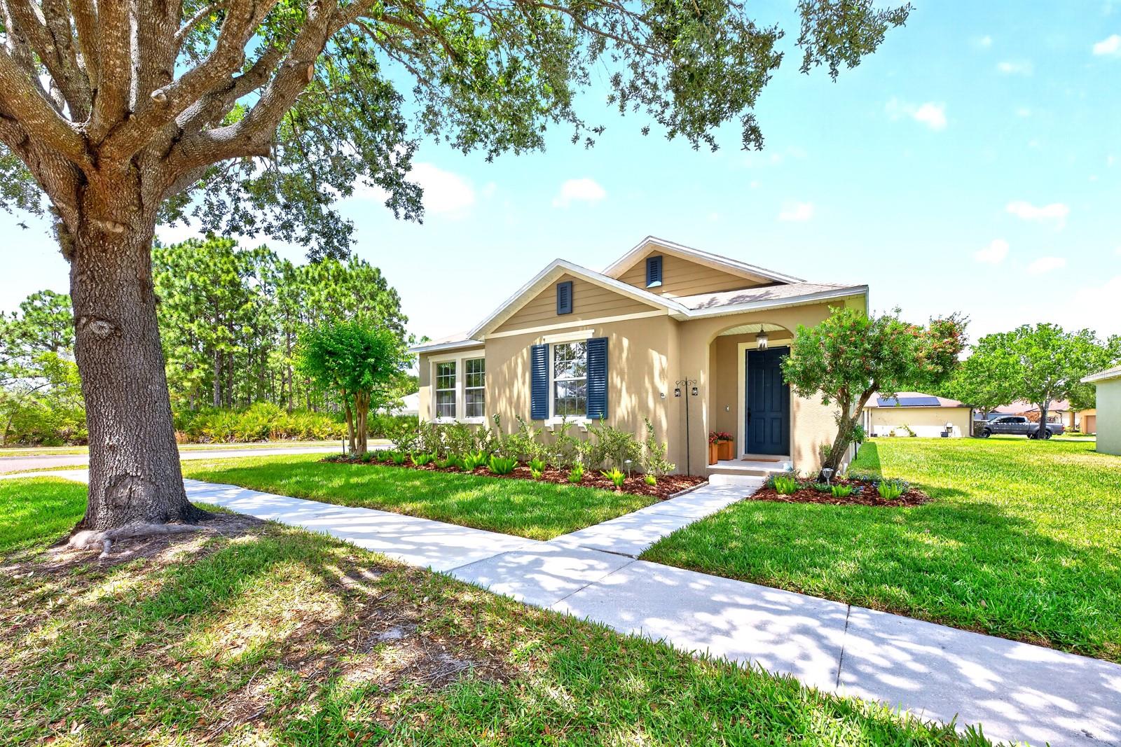 13805 Tea Rose Drive, FL
