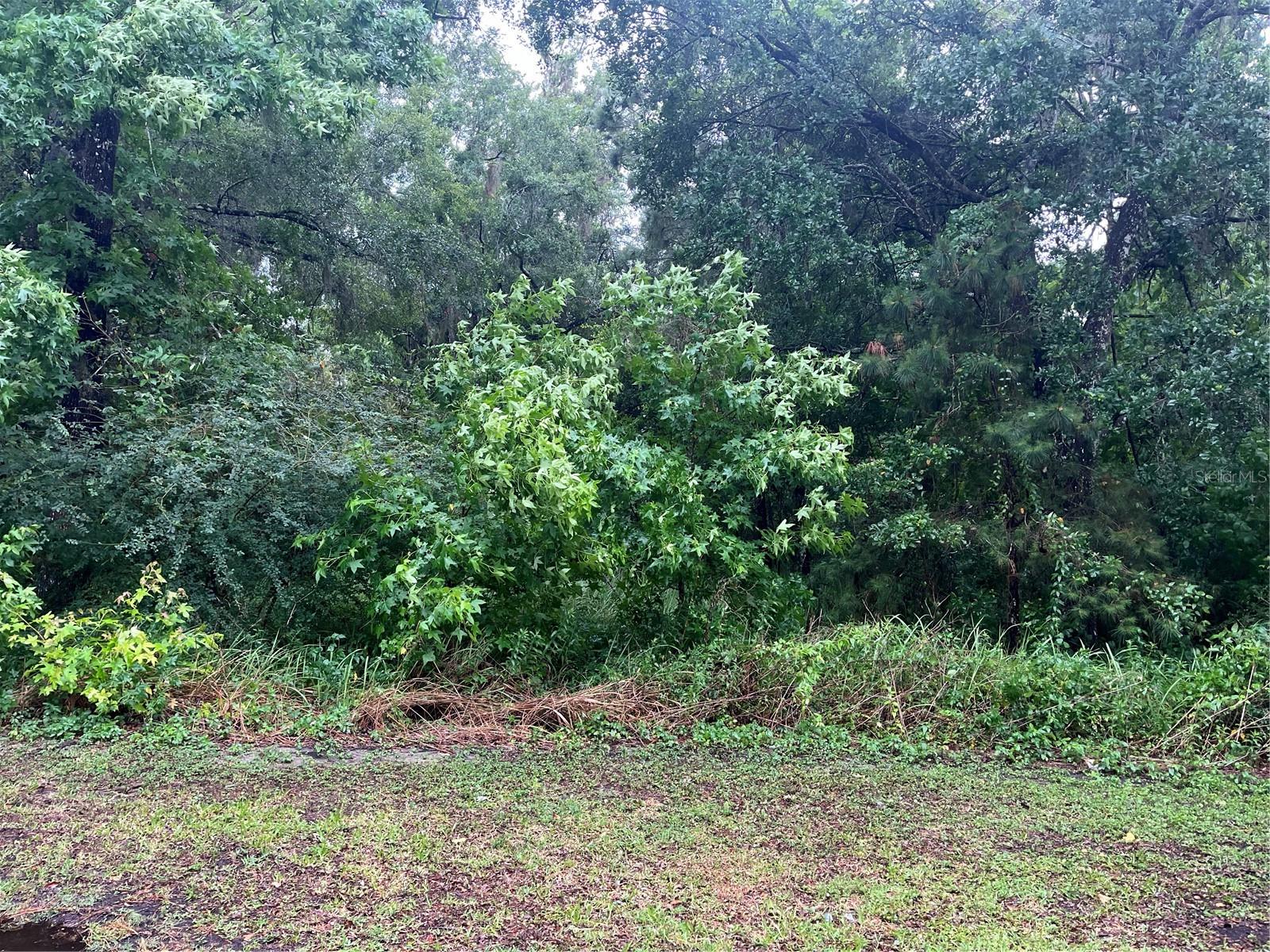 Sharon Street, FL