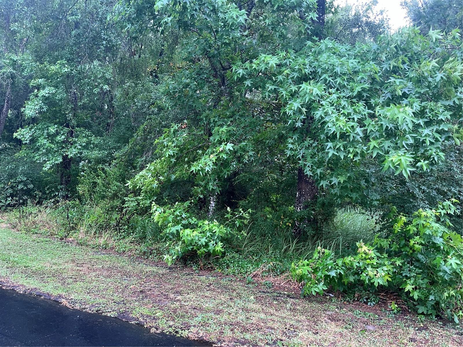 Sharon Street, FL