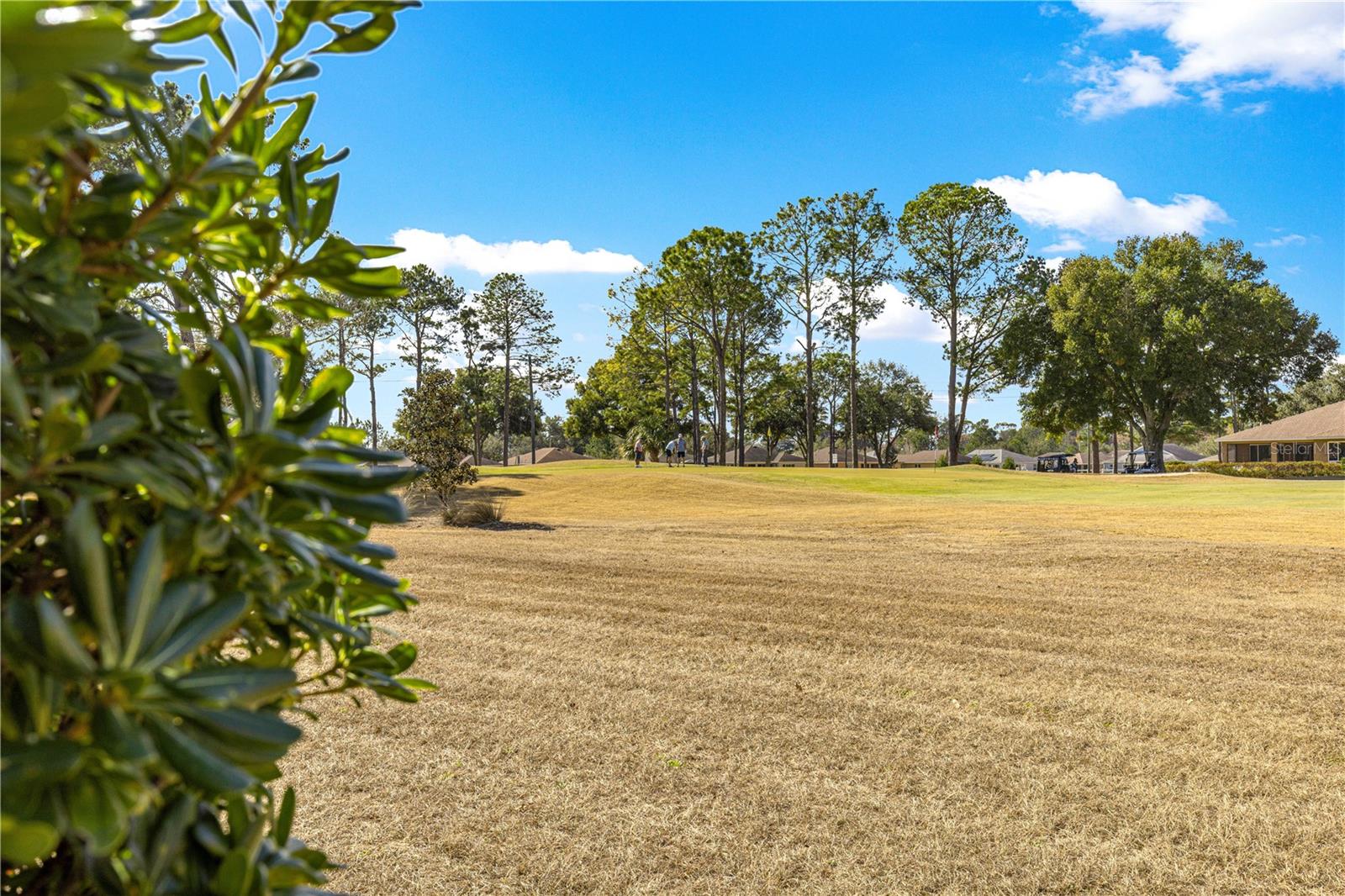 9250 96th Court Road, FL