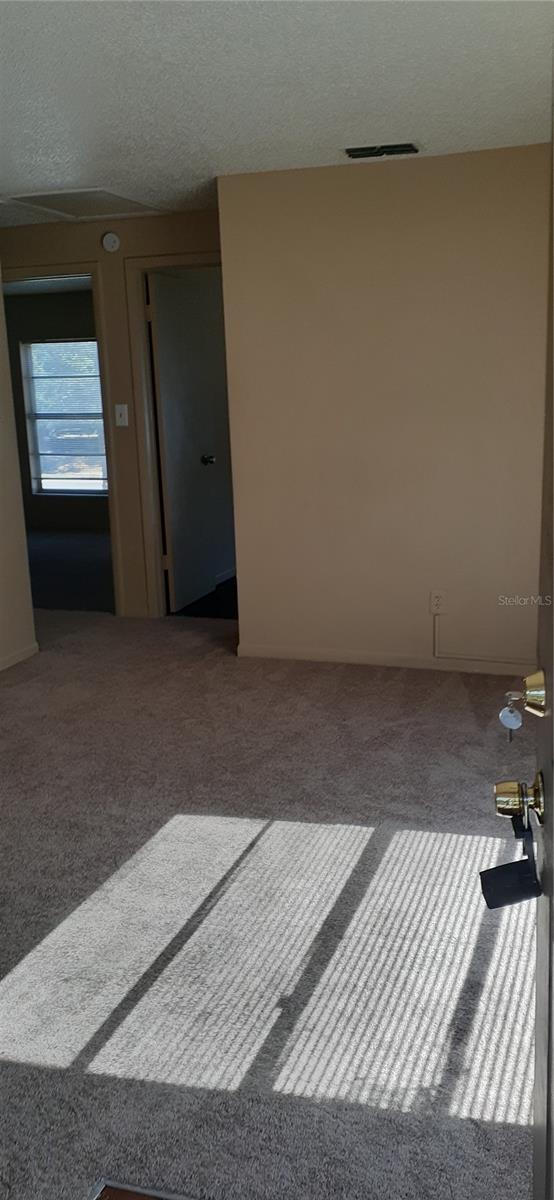 3919 Fern Street, FL