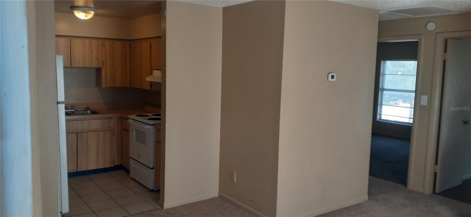 3919 Fern Street, FL