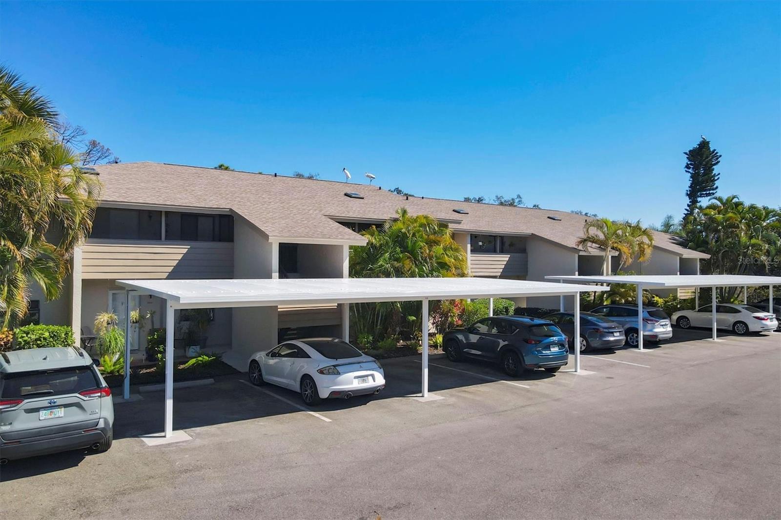 3363 Cross Creek Drive, FL