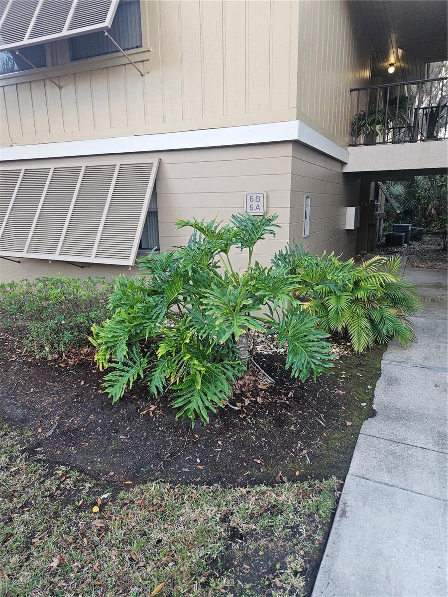 140 Orchid Woods Court, FL