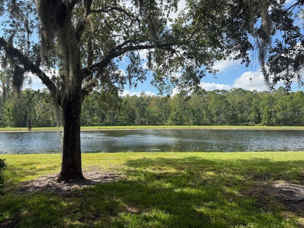 3460 Victoria Pines Drive, FL
