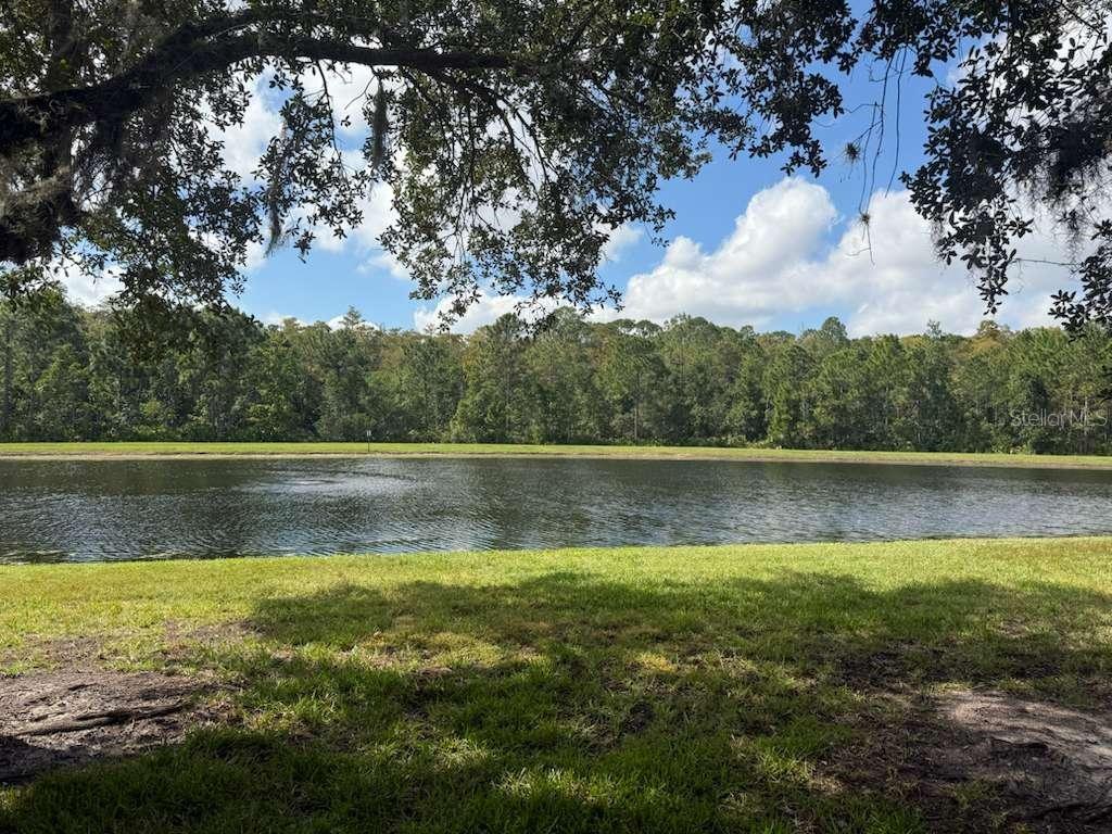 3460 Victoria Pines Drive, FL