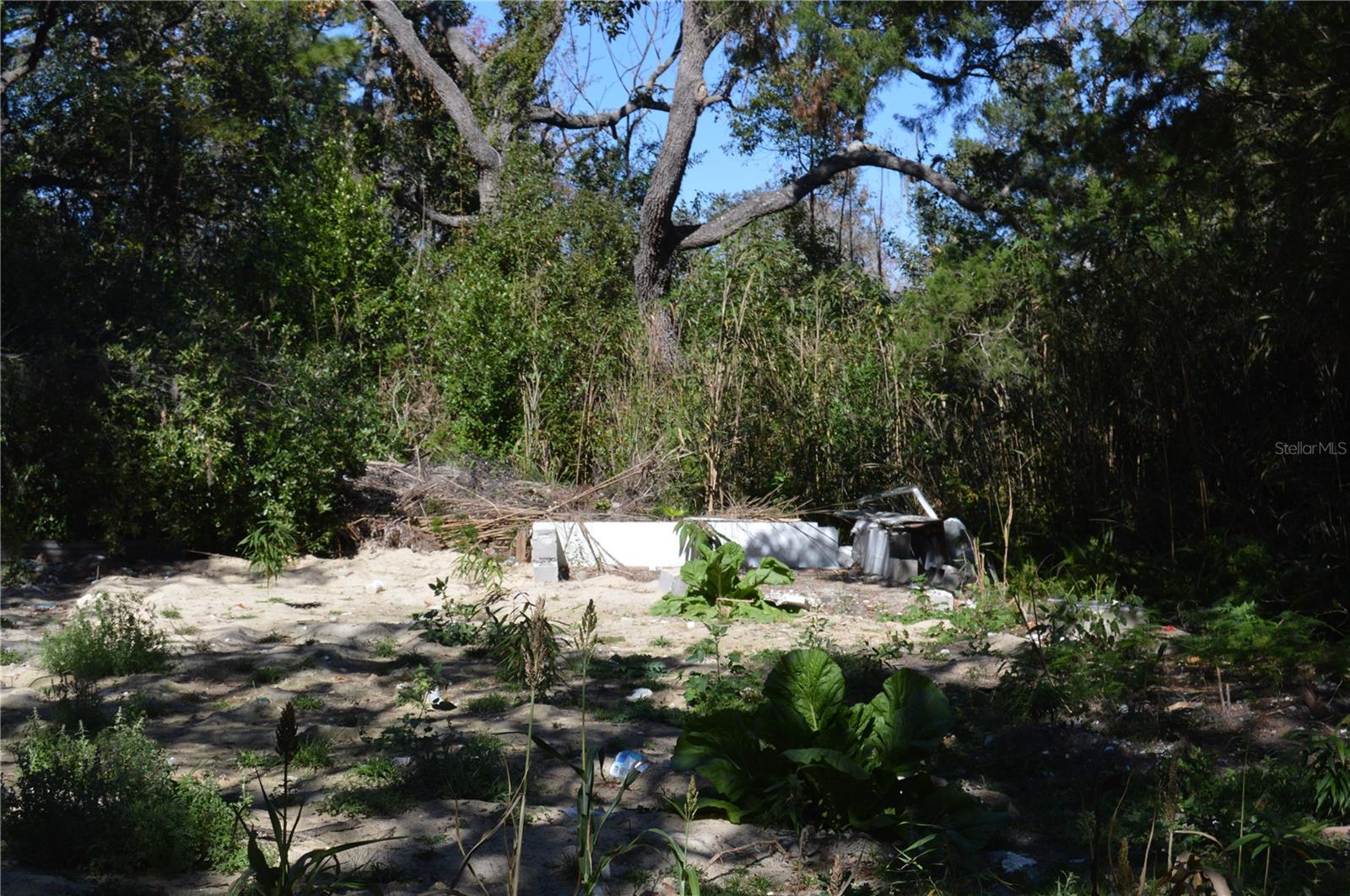 18117 Branch Road, FL