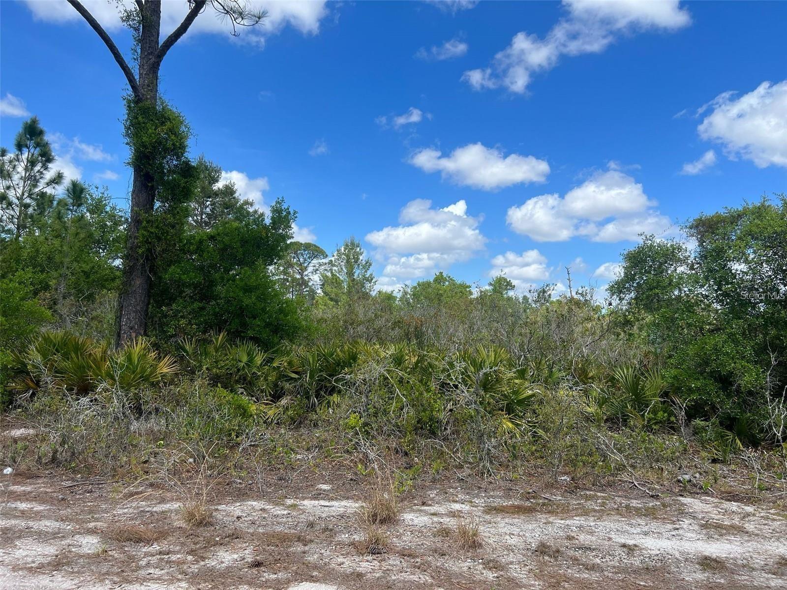331 Tanager Avenue, FL