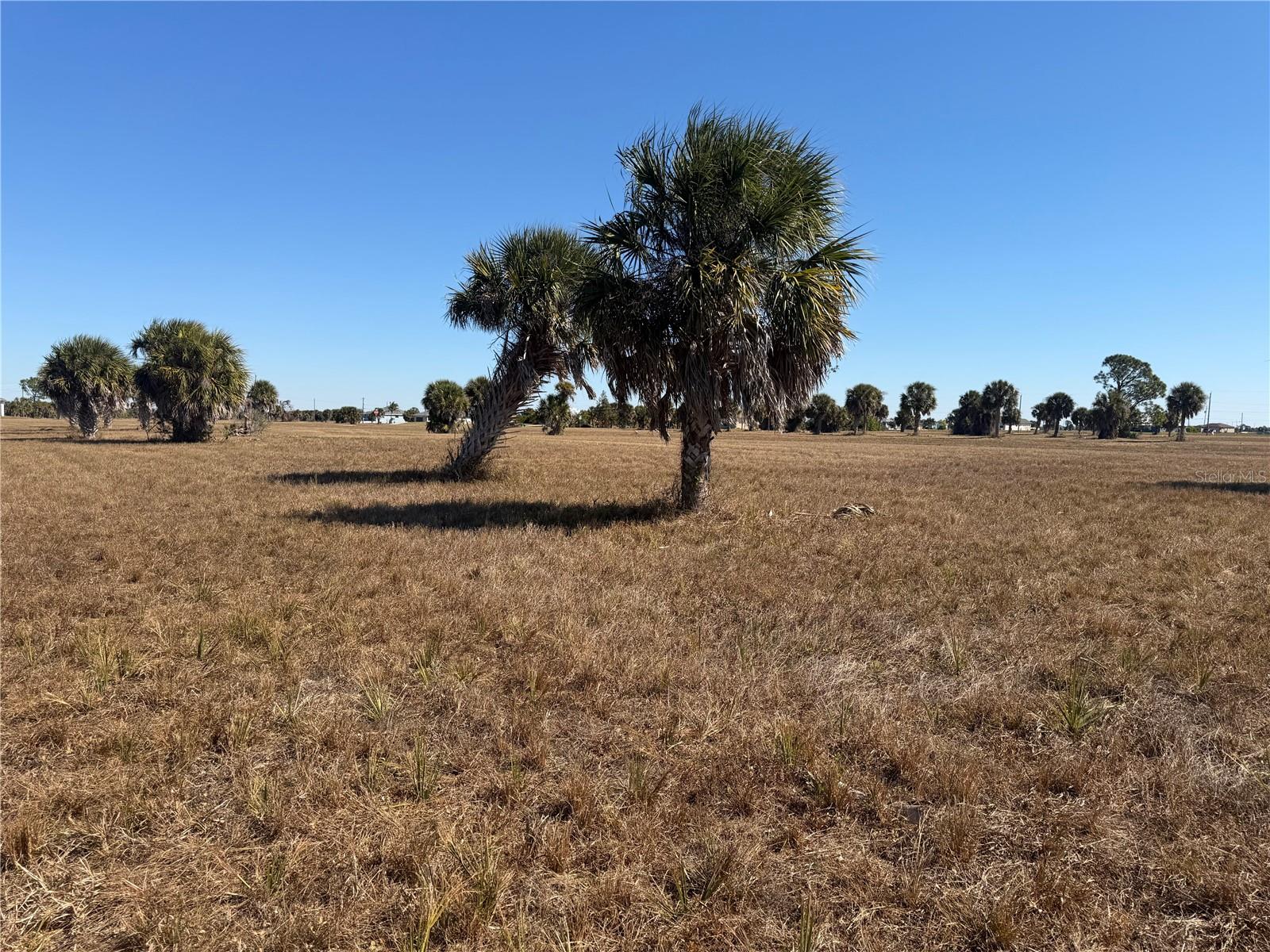 24 Lark Drive, FL