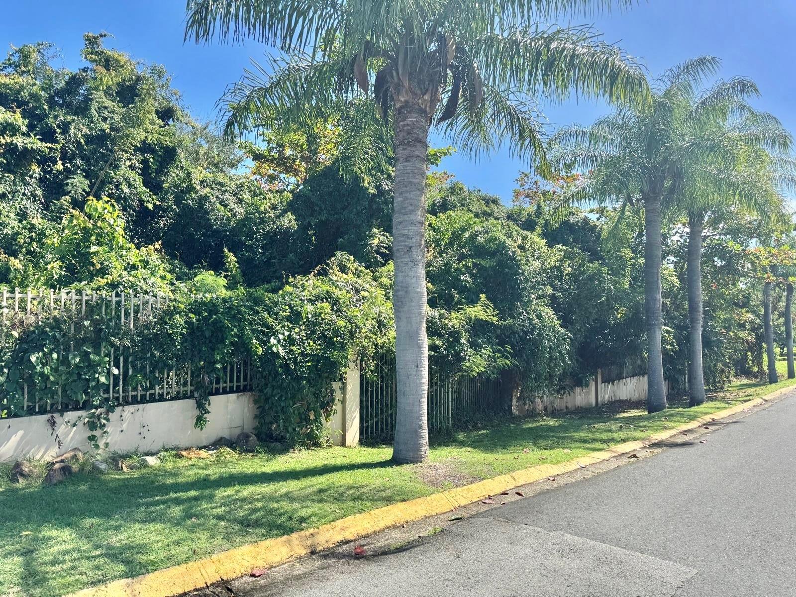 Lot 59 Urb. Las Gaviotas, PR