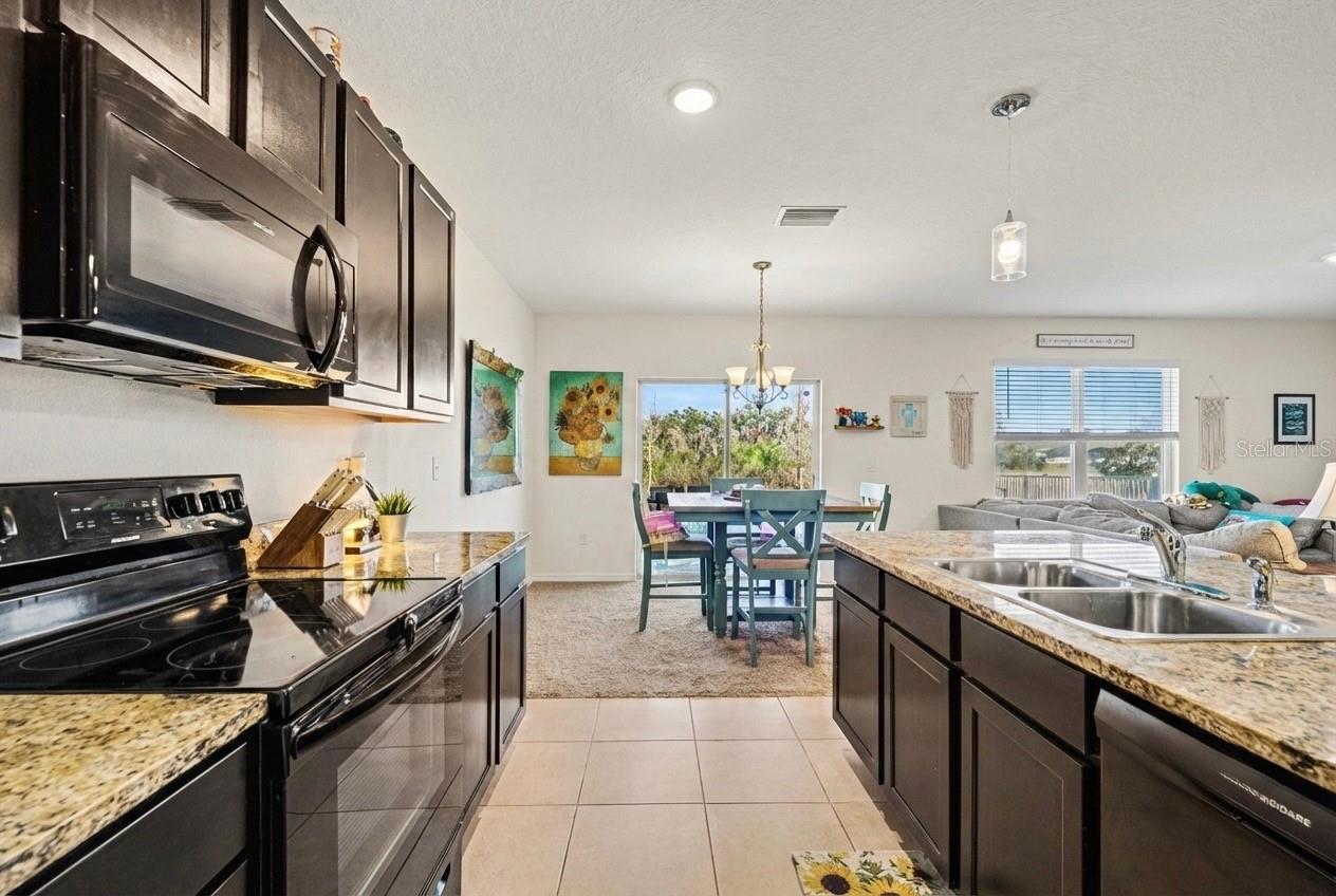 35605 Stella Vast Drive, FL