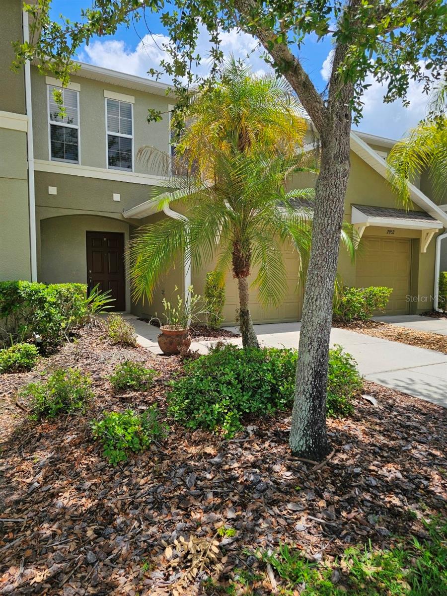 2954 Willowleaf Lane, FL
