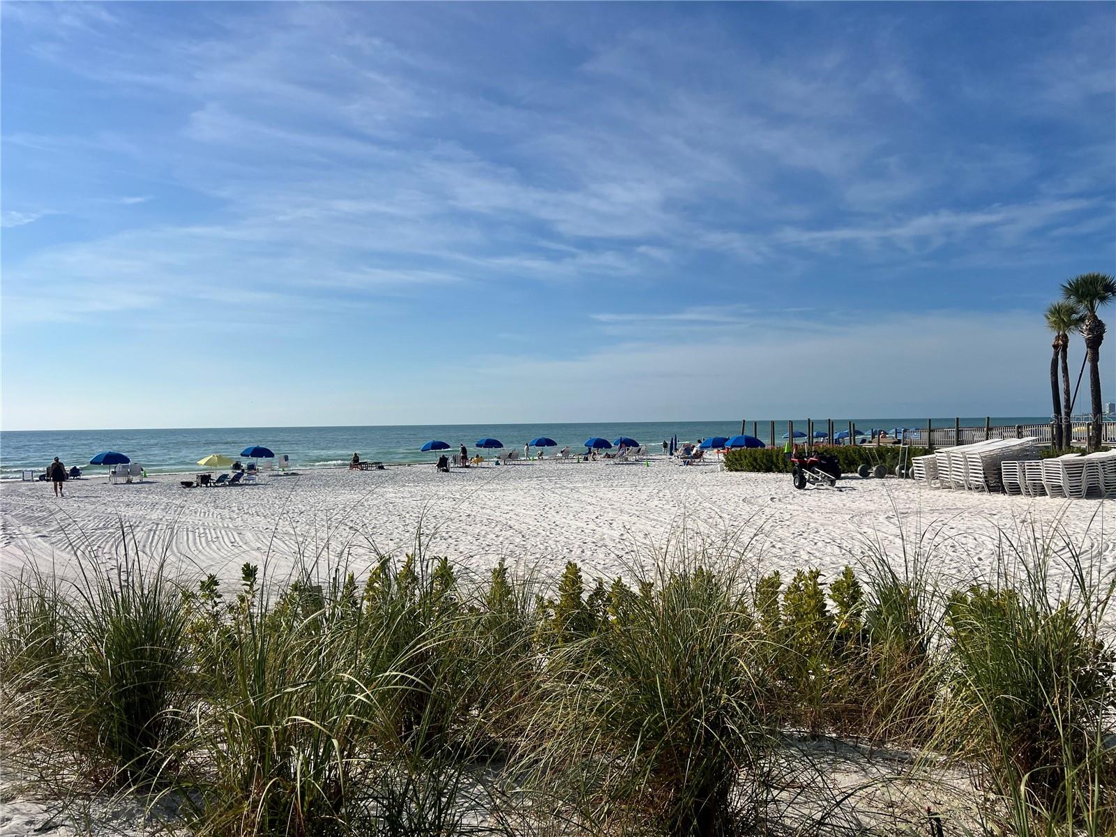 1001 Point Of Rocks Road, FL