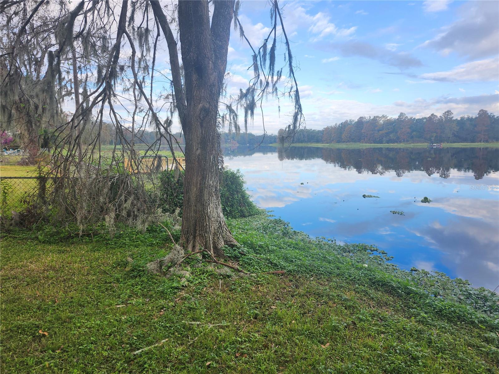 3606 River Grove Drive, FL