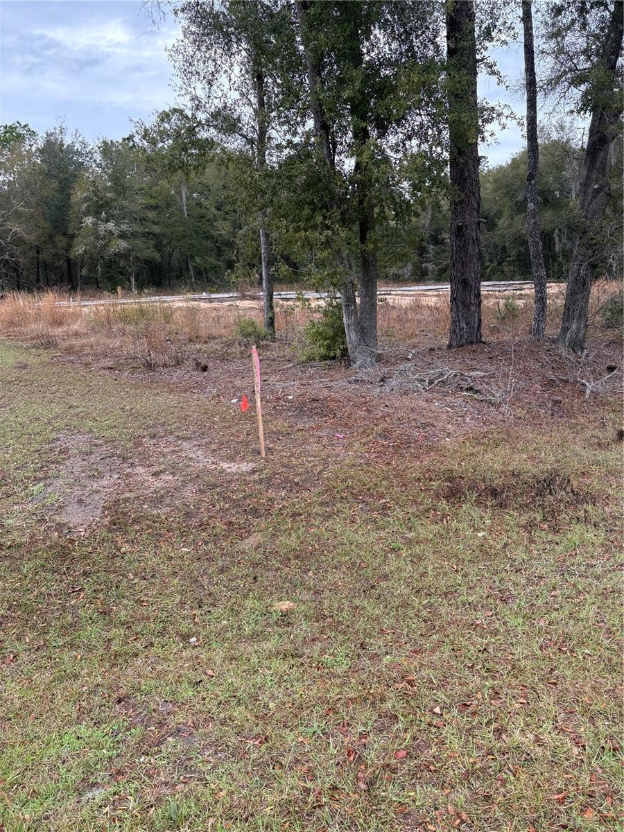 Sw 202nd Ct &Sw 63rd Pl, FL