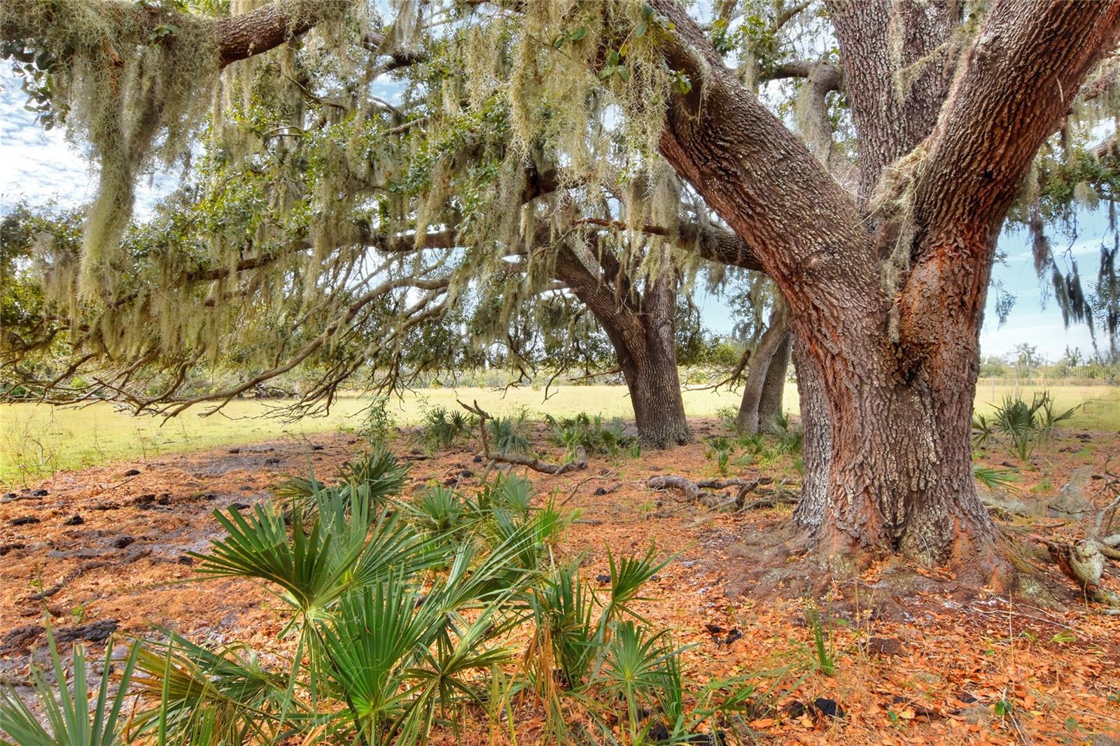0 Carlton Lake Road, FL