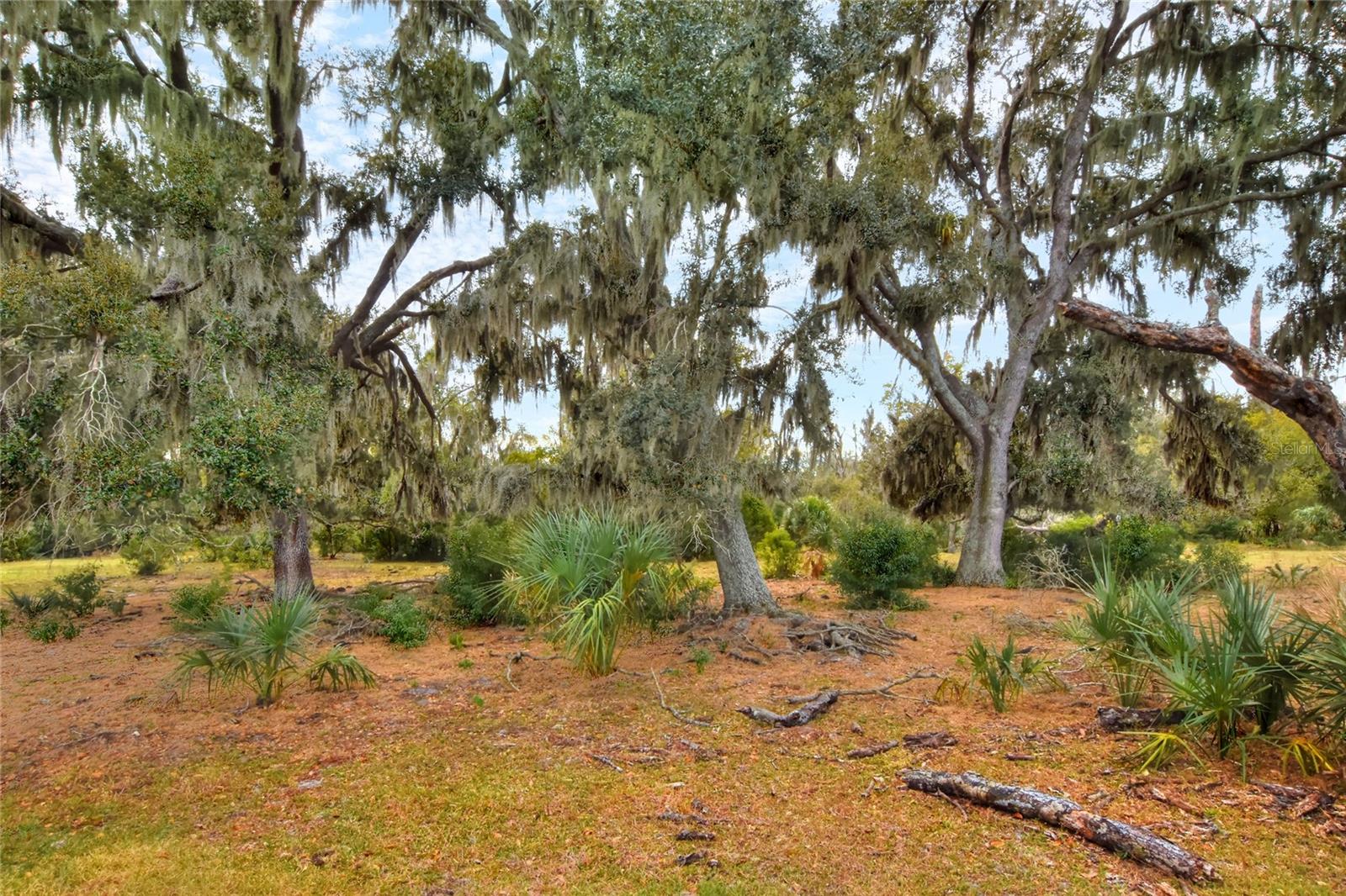 0 Carlton Lake Road, FL