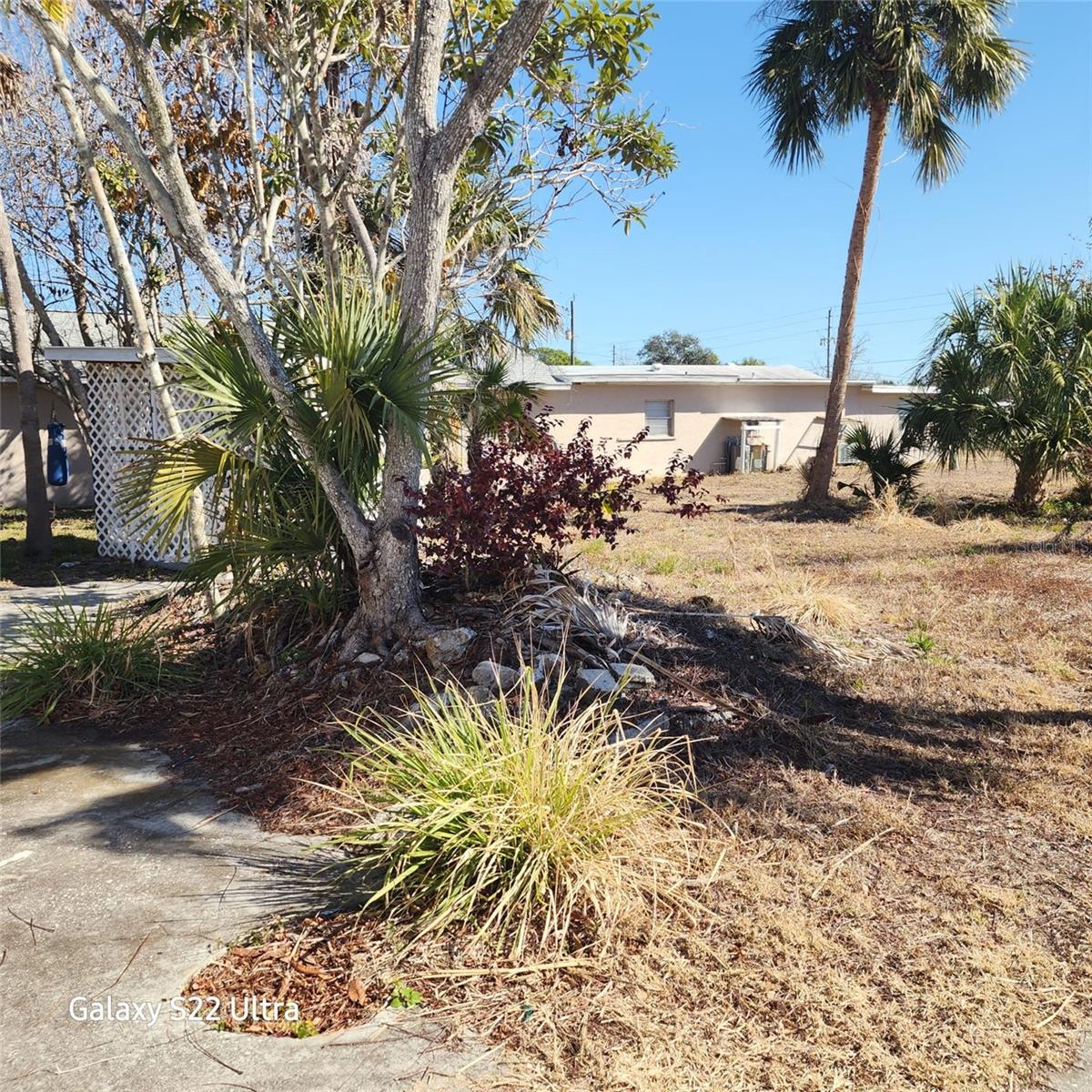 ARCADIA, FL