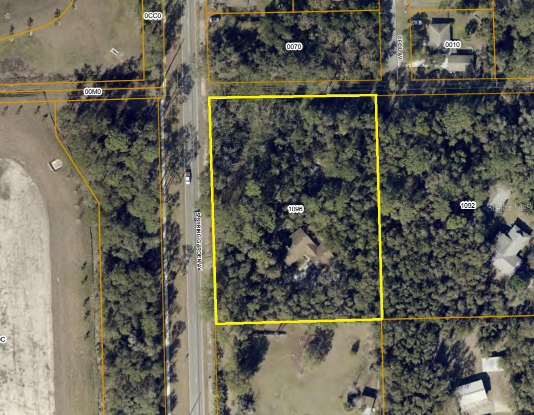 1325 Spring Garden Avenue, FL