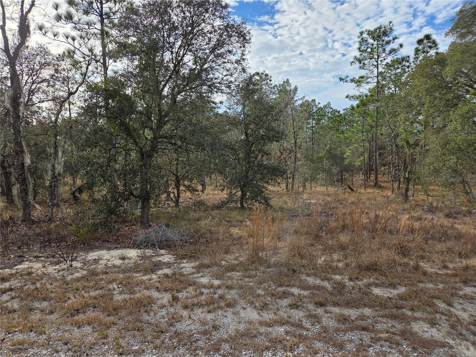 0000 128th Avenue, FL