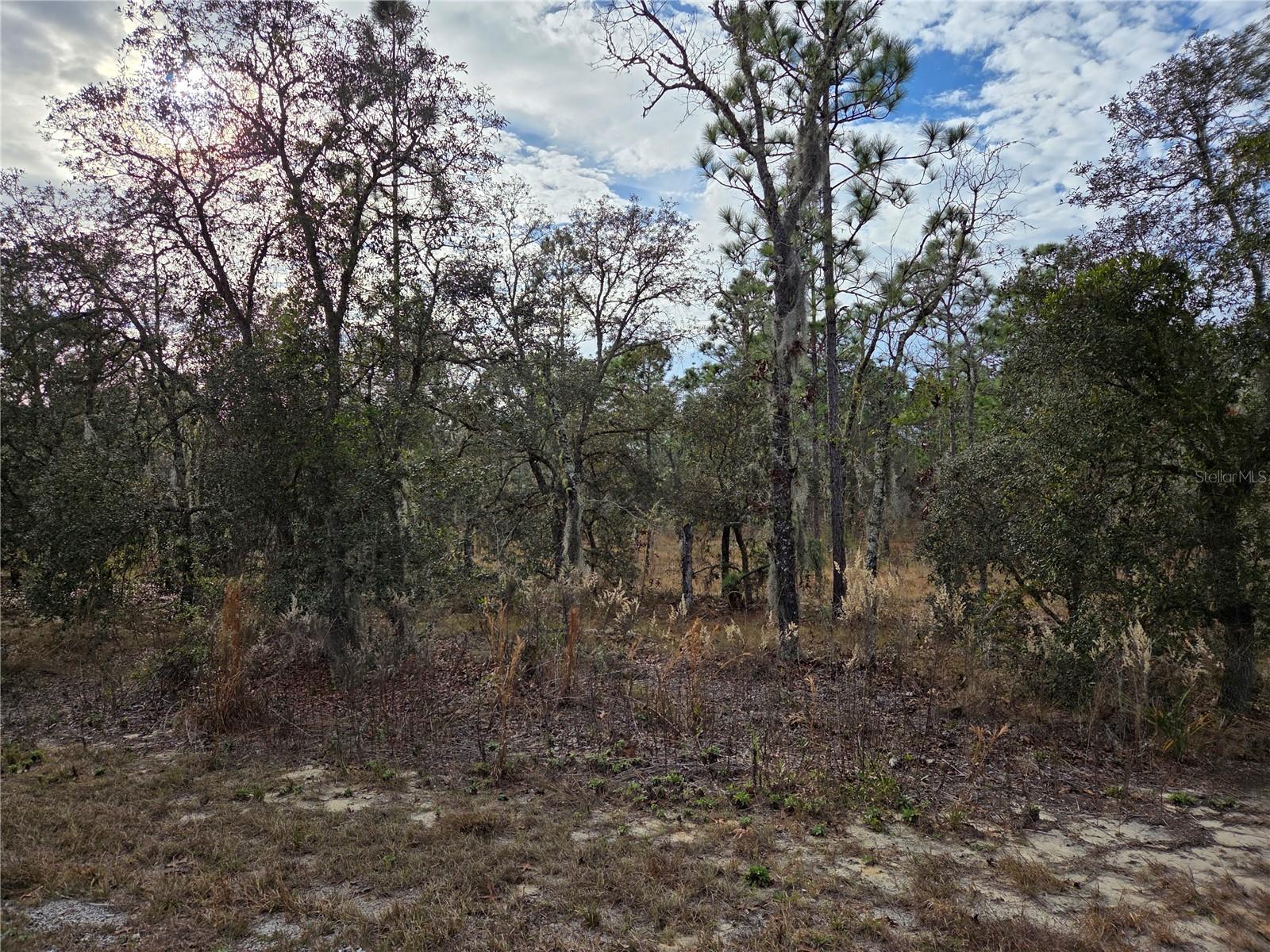 0000 128th Avenue, FL