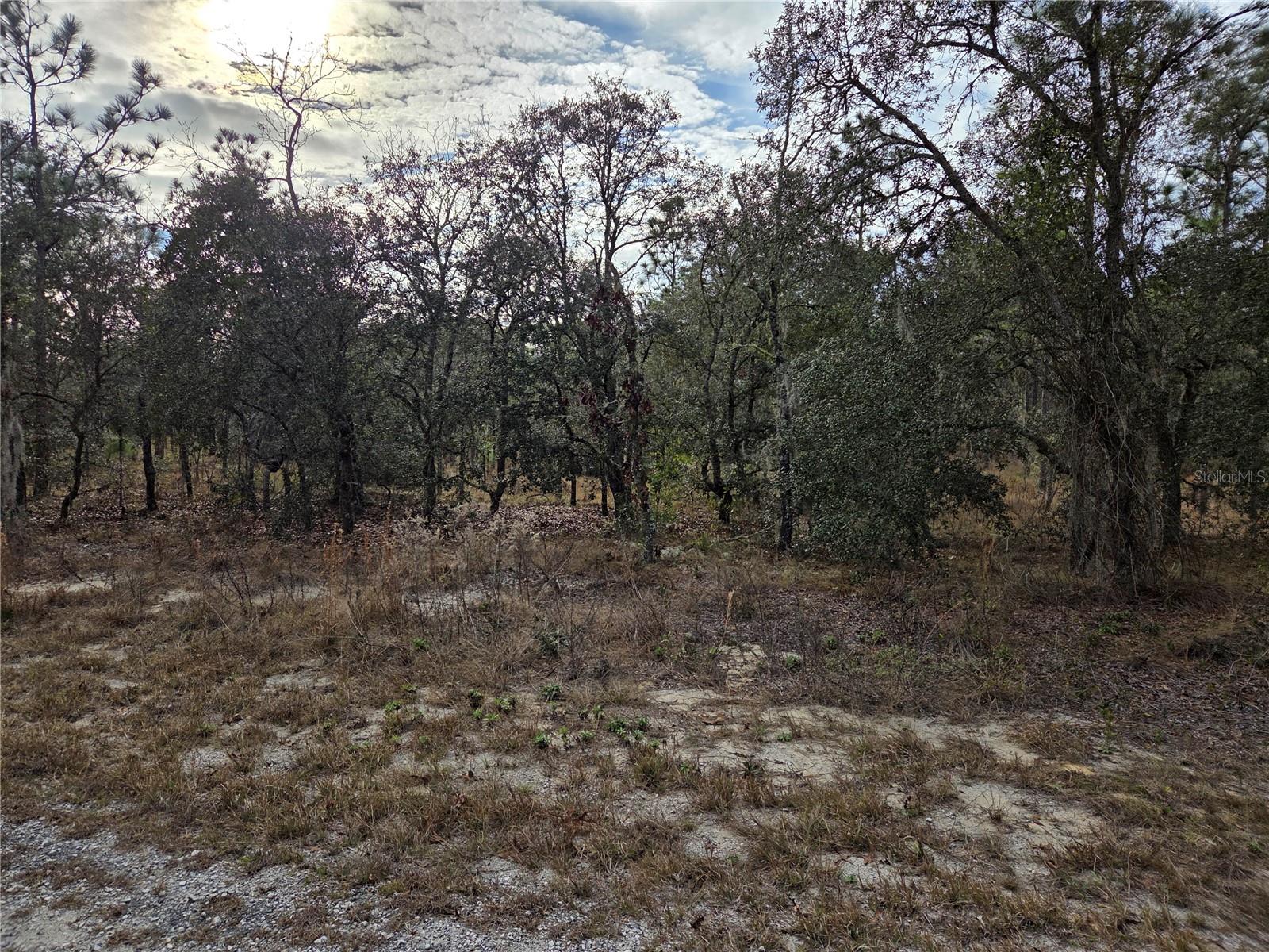 0000 128th Avenue, FL
