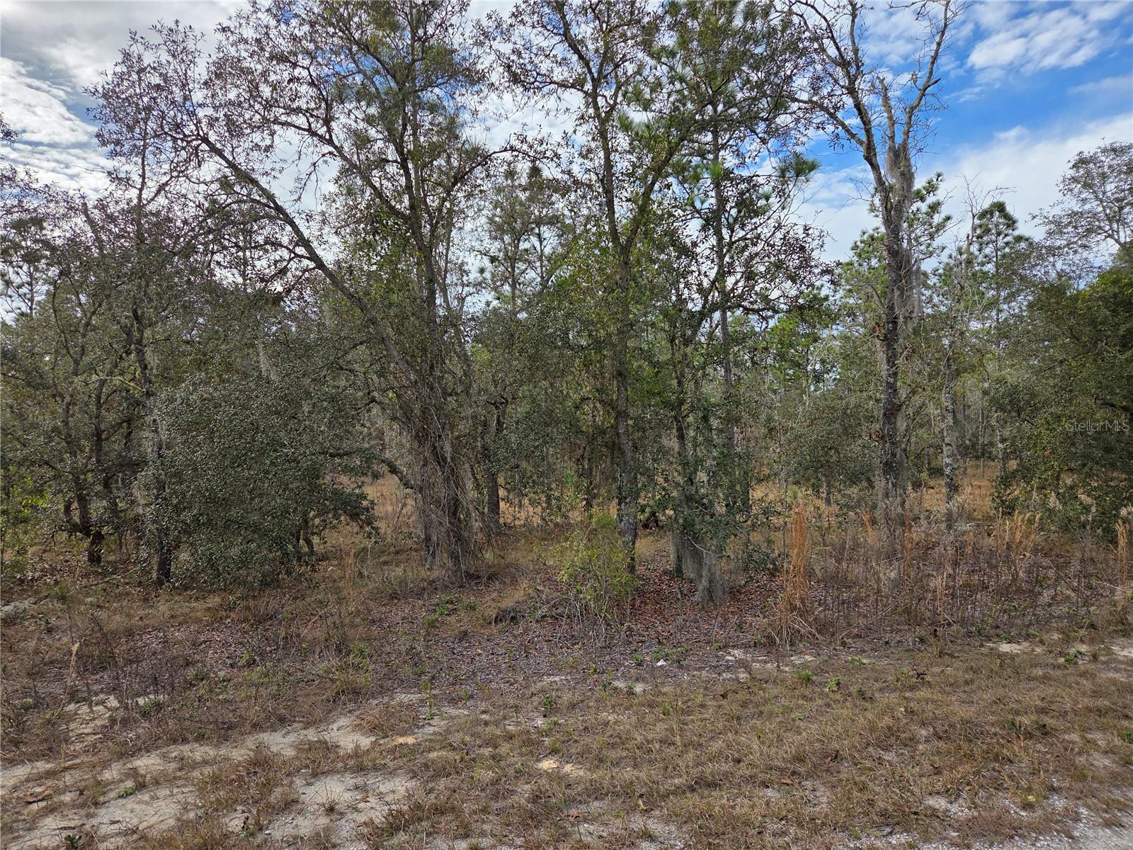 0000 128th Avenue, FL