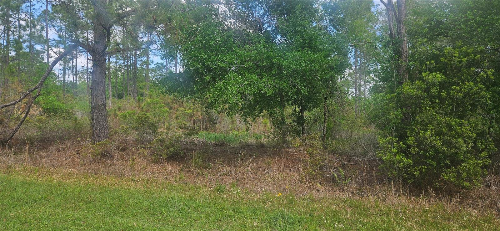 408 Pandora Drive, FL