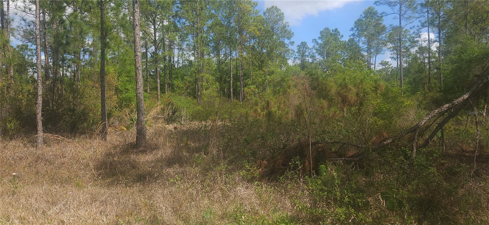 408 Pandora Drive, FL