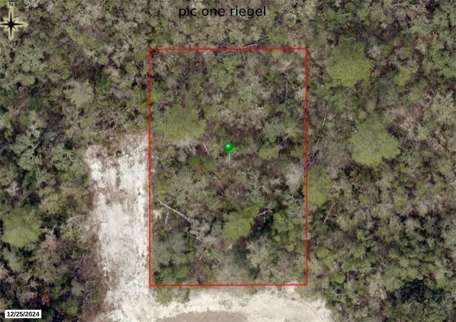 Riegel (Paper) Avenue, FL