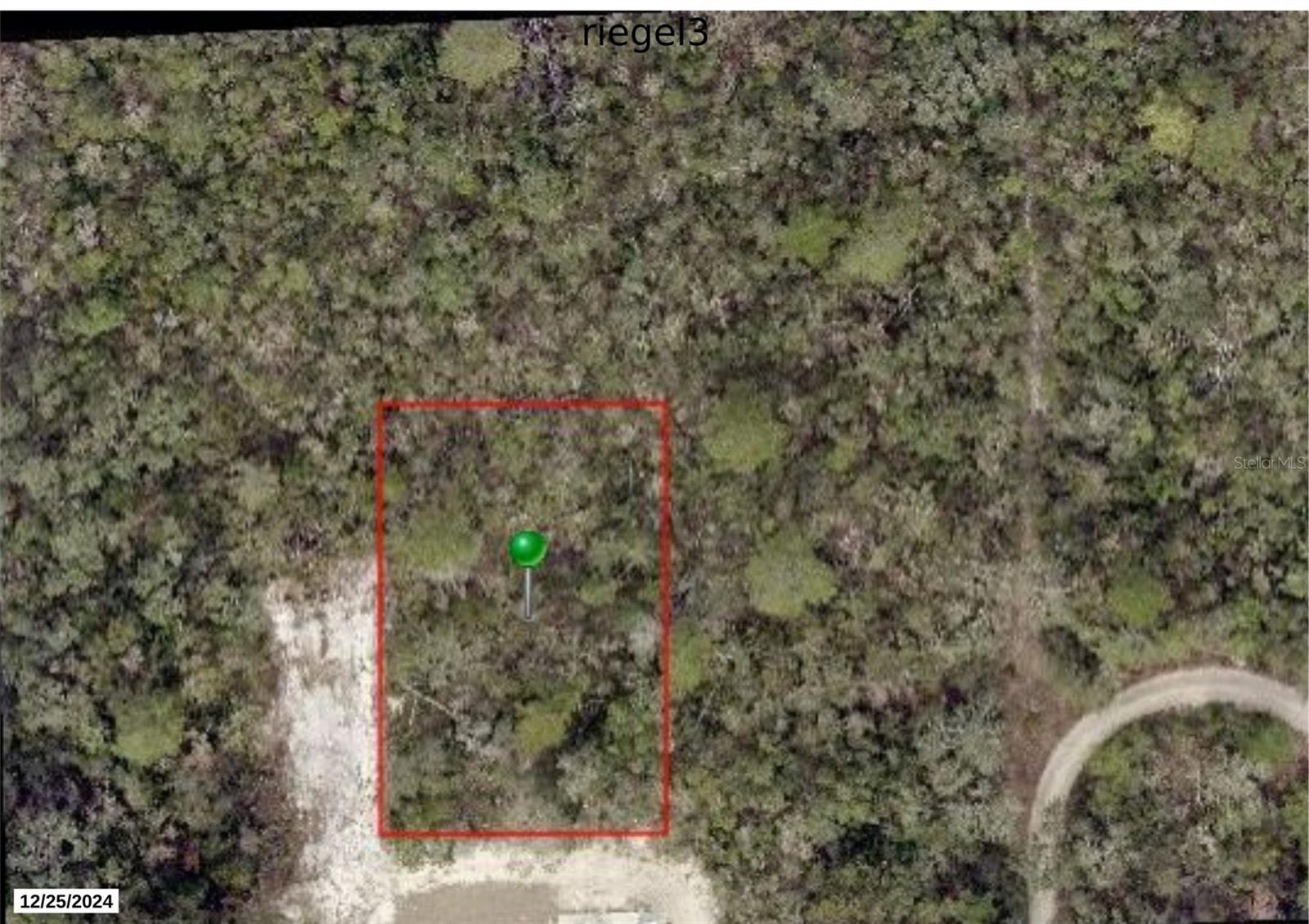 Riegel (Paper) Avenue, FL
