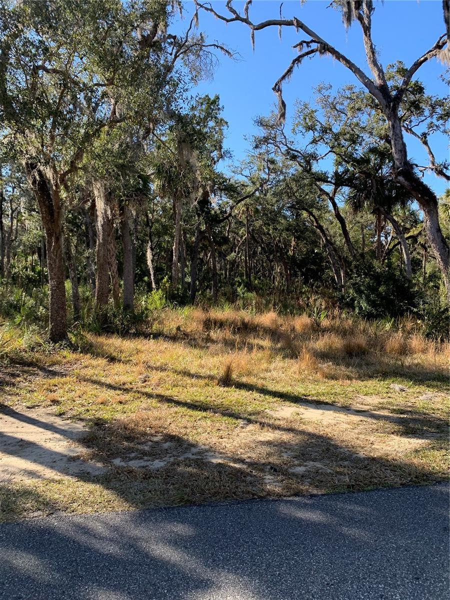 12148 Standish Drive, FL