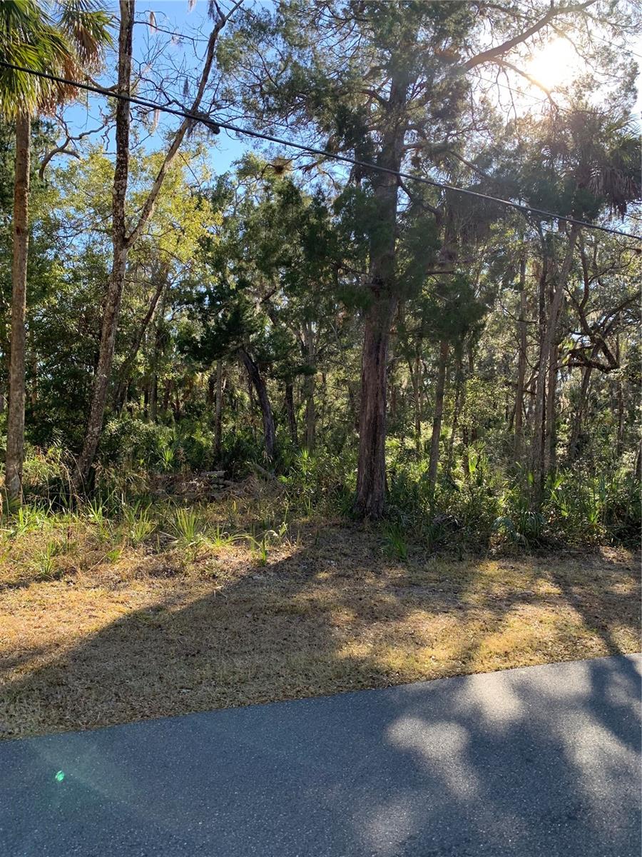 12148 Standish Drive, FL