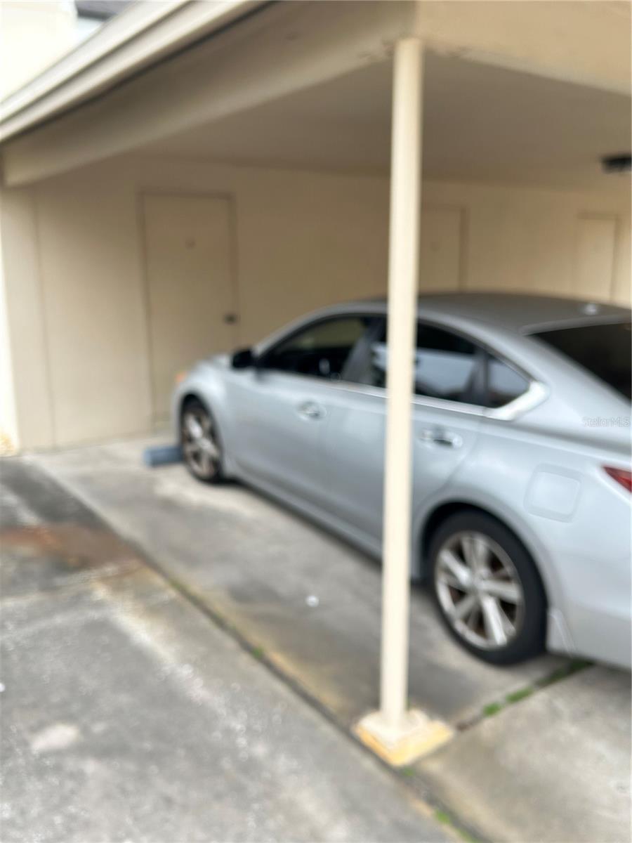 2462 Kingfisher Lane, FL