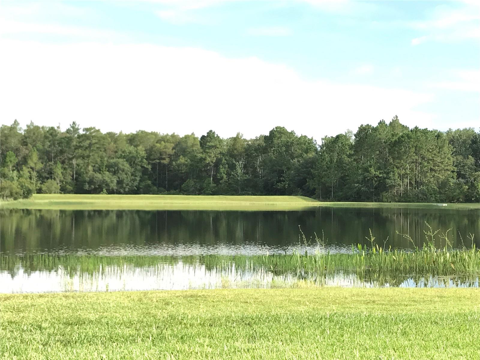 1702 Cypress Ridge Drive, FL