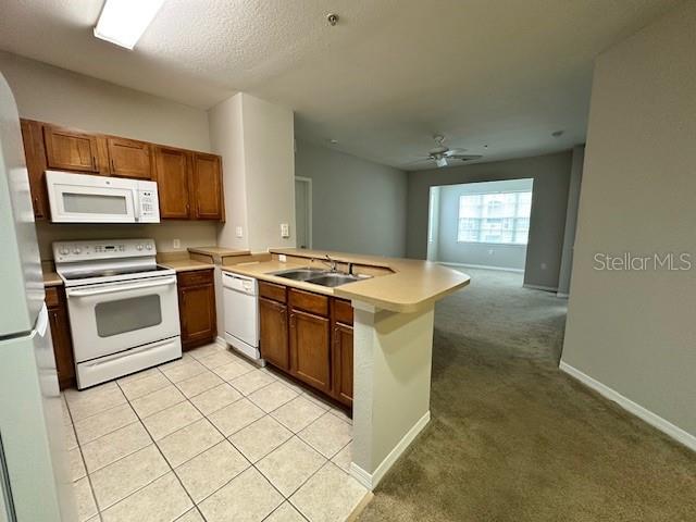 8225 Claire Ann Dr, FL