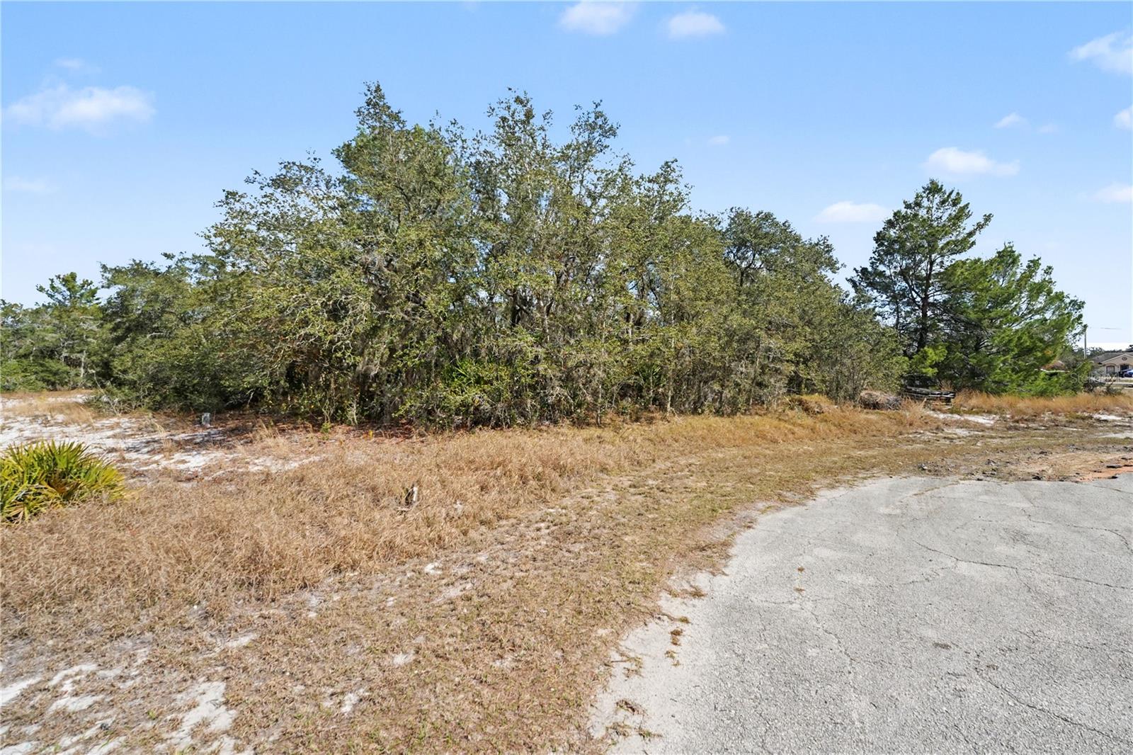 611 Amazon Court, FL