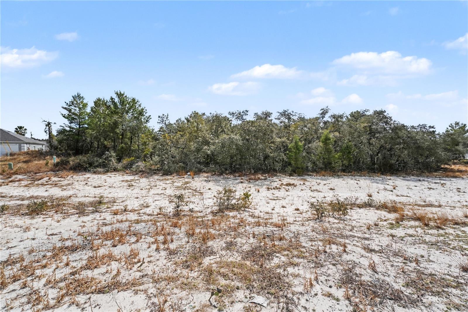 611 Amazon Court, FL