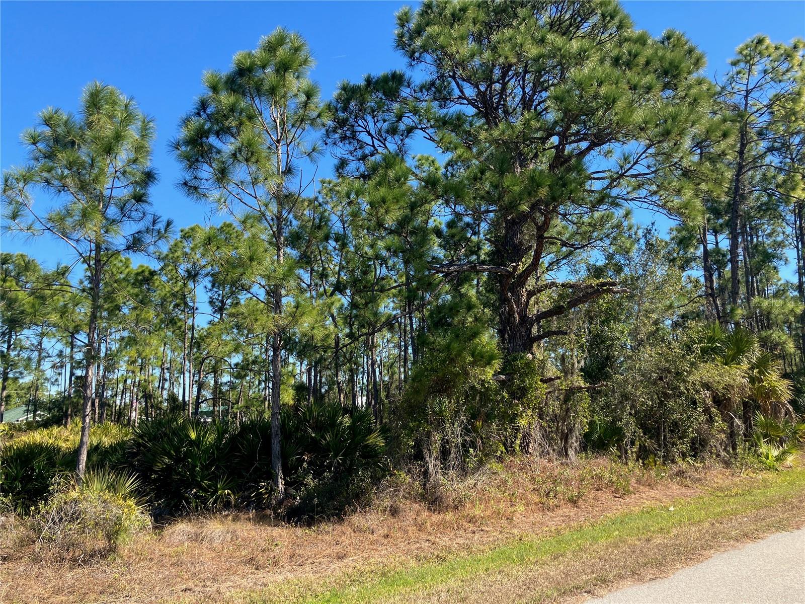 26334 Eager Road, FL