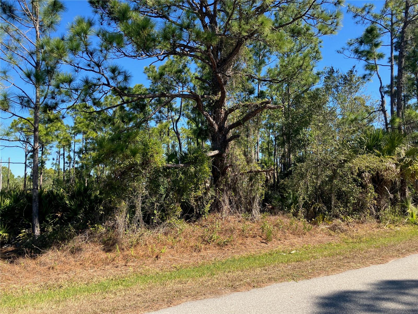 26334 Eager Road, FL