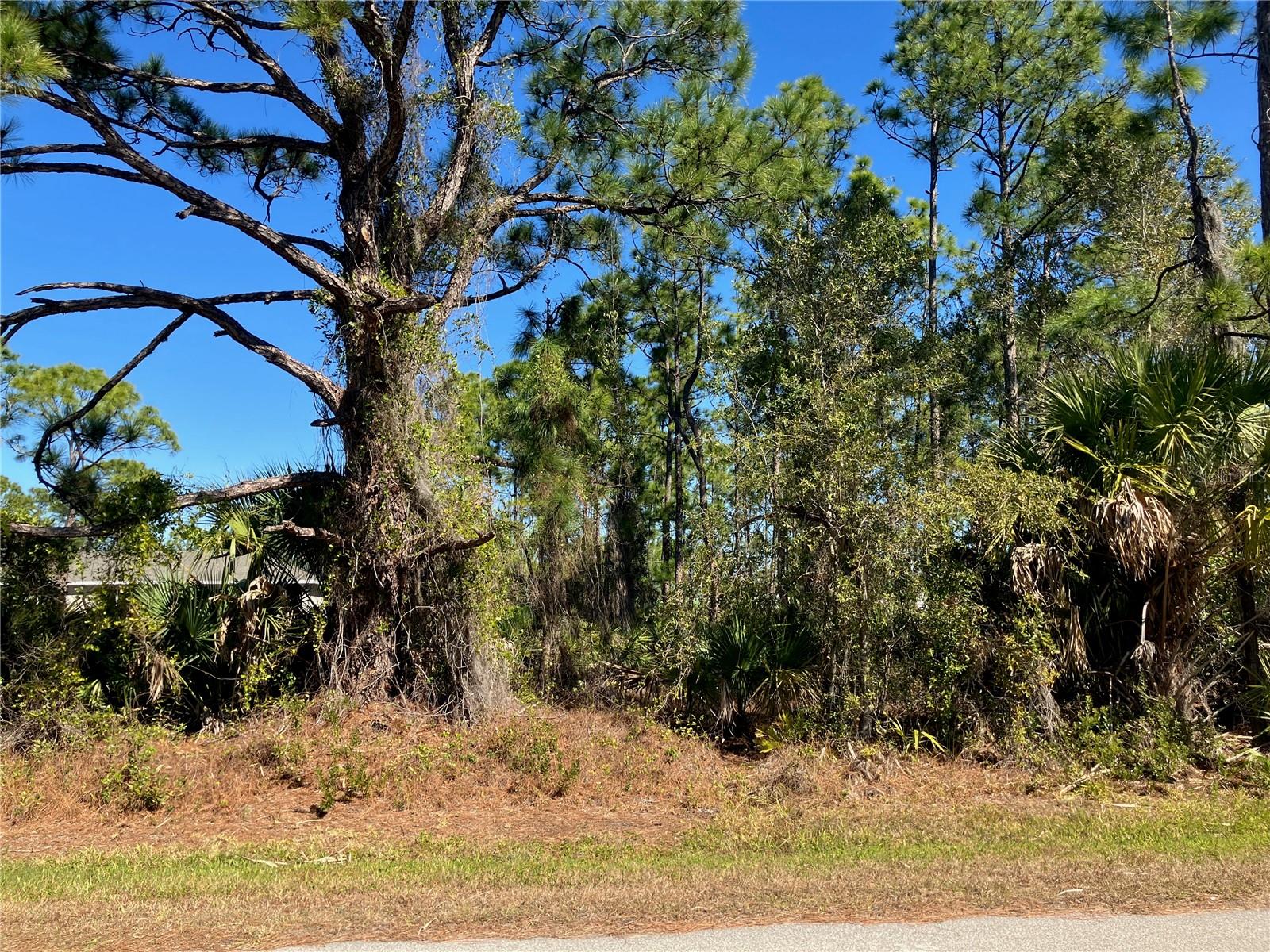 26334 Eager Road, FL