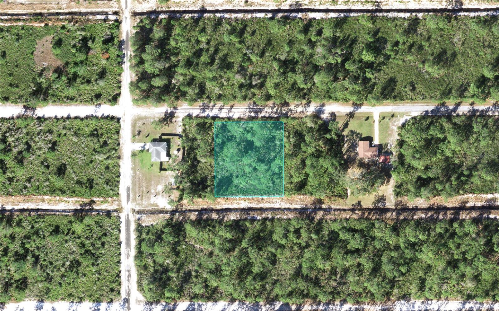 619 Camellia Drive, FL