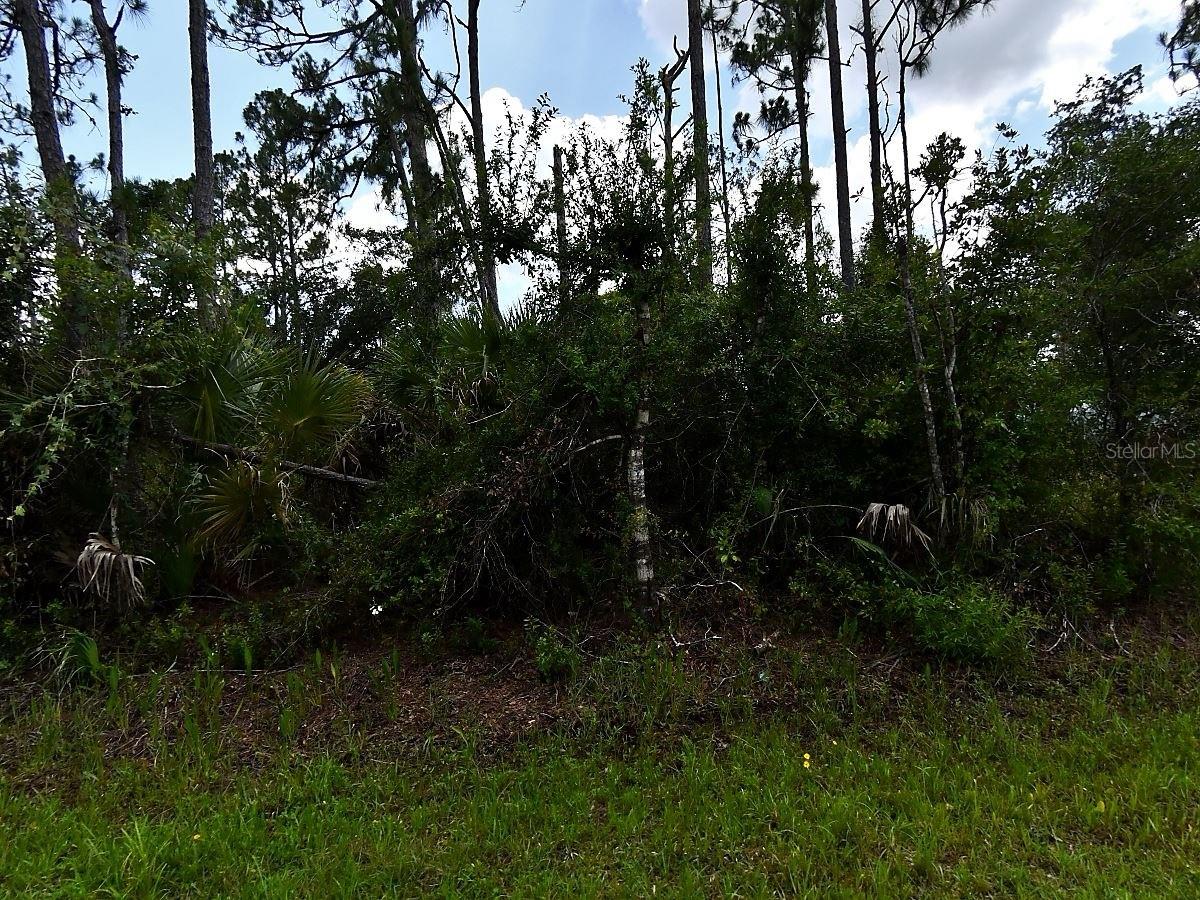 Hackley Road, FL