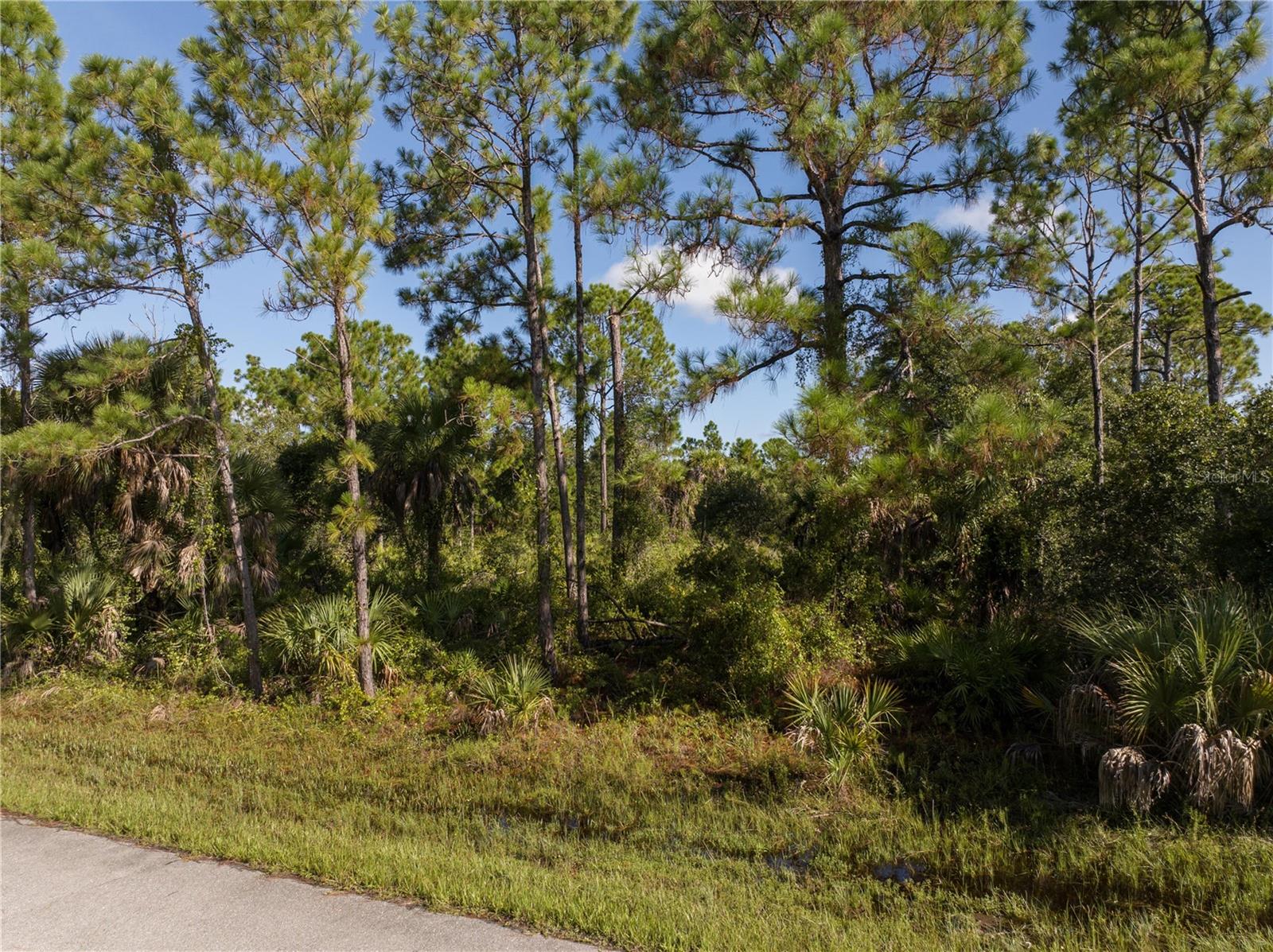 14142 Dunlap Avenue, FL