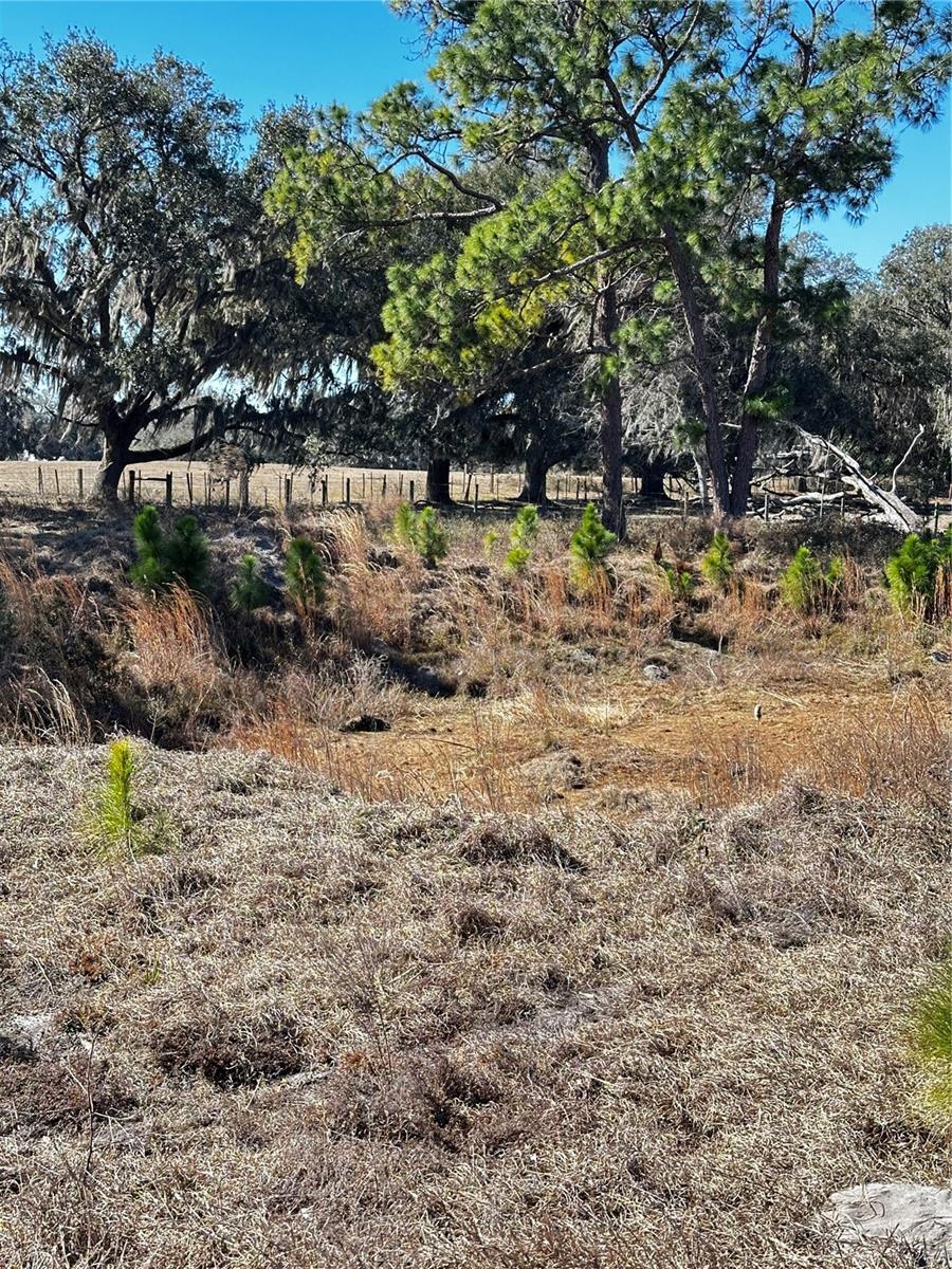 Cr 707 Road, FL