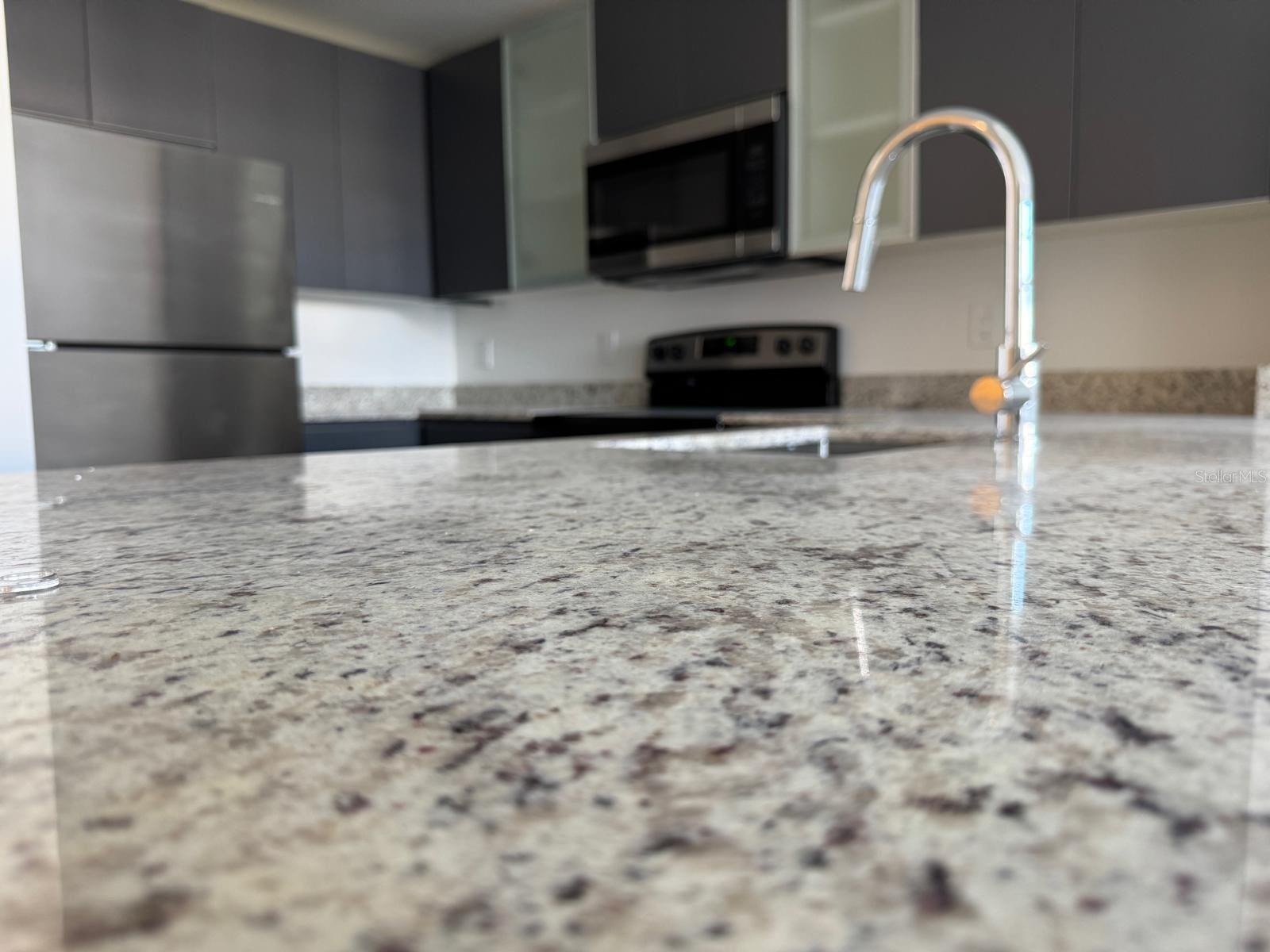 5587 Millenia Park Boulevard, FL