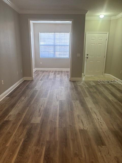 303 Southern Pecan Circle, FL