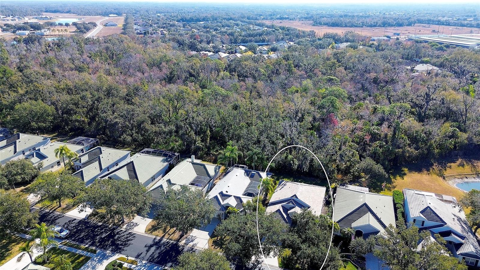 3022 Woodland Fern Drive, FL