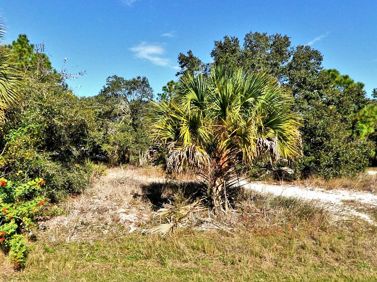 Greentree Avenue, FL